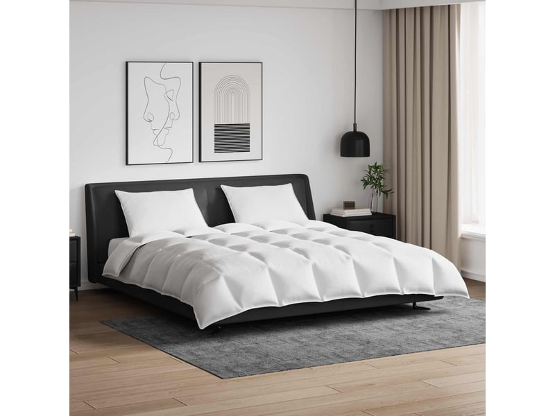  Ensemble de duvet avec oreiller 3 pièces - couette blanc plume de canard  - Conforama B