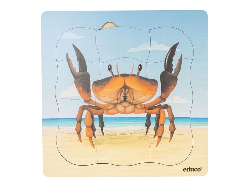  Educo sur la plage - le crabe pousse  31 pièces de puzzle 8719924064754 - Conforama C