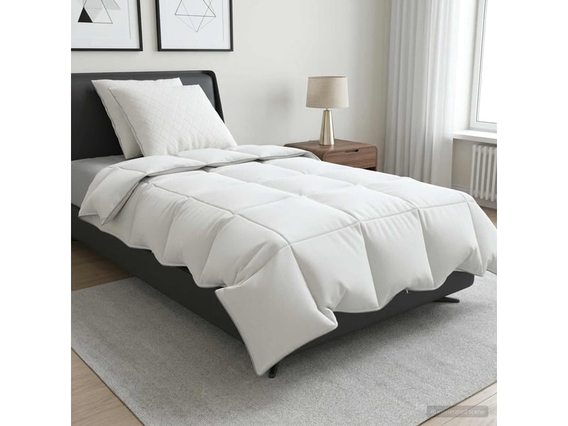  Ensemble de couette 90 % en duvet d’oie fulda 3 pcs - duvet 155 x 220 cm  - Conforama B