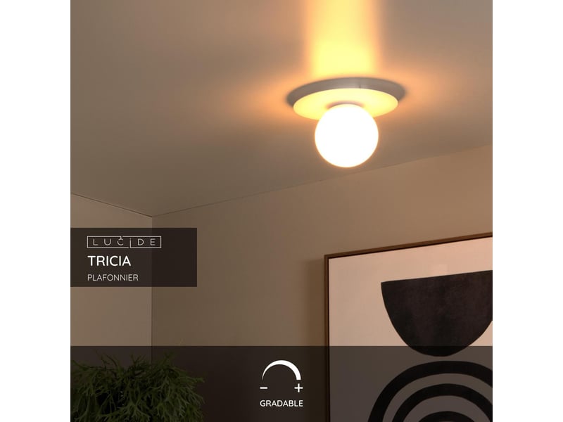 Plafonnier diam. 25 cm 1xe27 blanc - lucide - tricia  - Conforama C