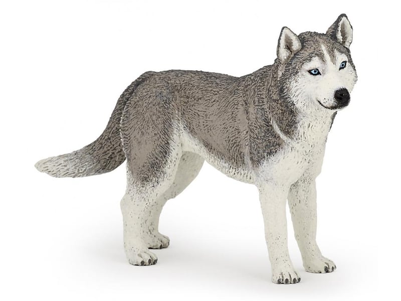  54035 husky de sibérie les chien 54035 - Conforama A
