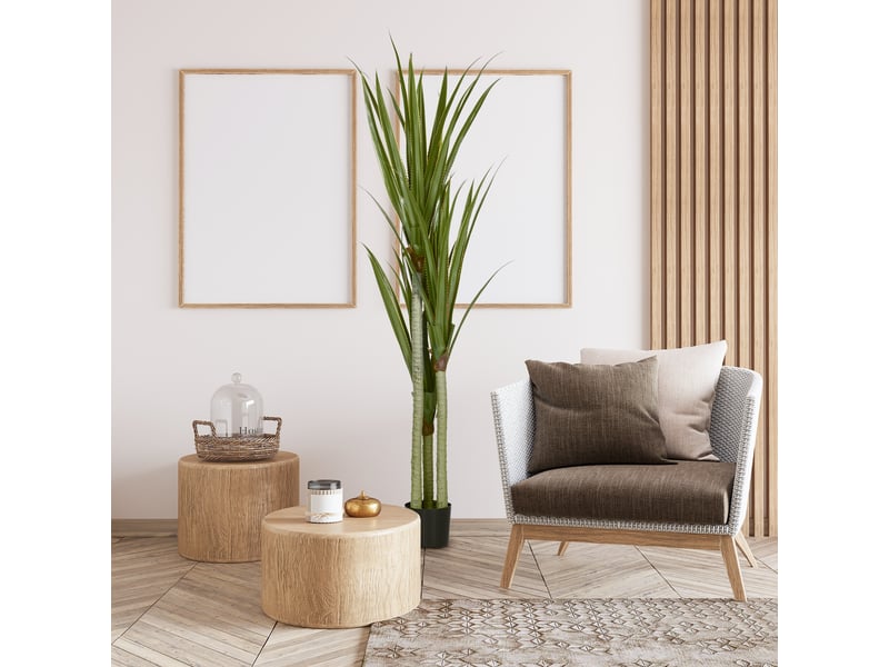  Grand yucca artificiel, 190 cm, en plastique, en pot, 17 x 17 x 190 cm, vert émeraude  - Conforama C