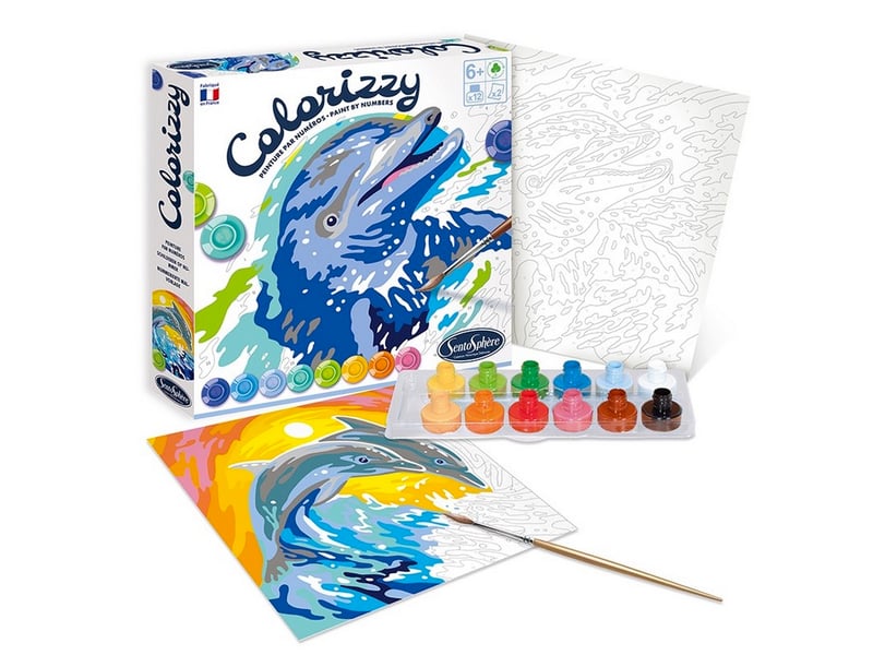  Colorizzy dauphins peinture aux numeros 4509 - Conforama B