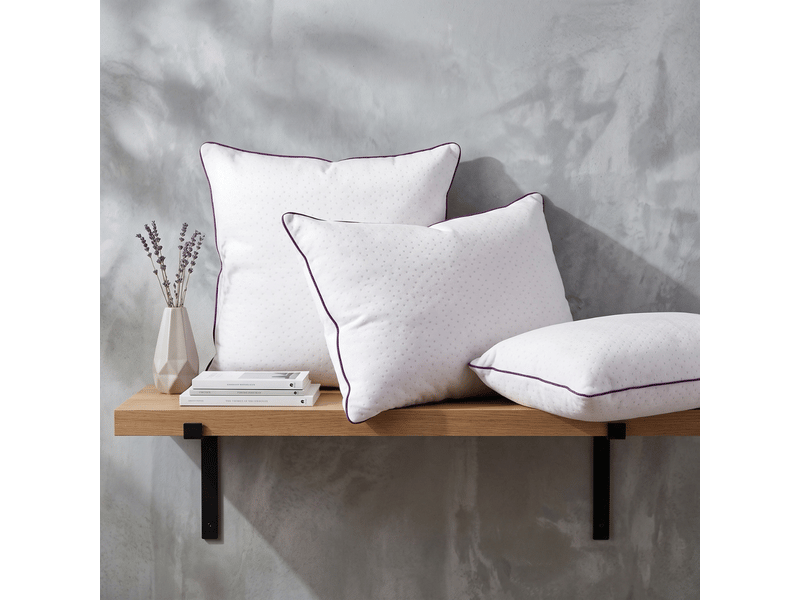  Oreiller blanc 100% plume de canard - 60 x 60 cm - housse bonne fête - collection blanc C07-ORP04 60/60 - Conforama C