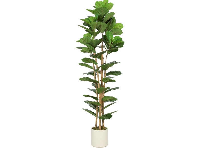 Plante artificielle ficus 180 cm – vert – 91 feuilles modulables, pot blanc à base cimentée et stable - Conforama A