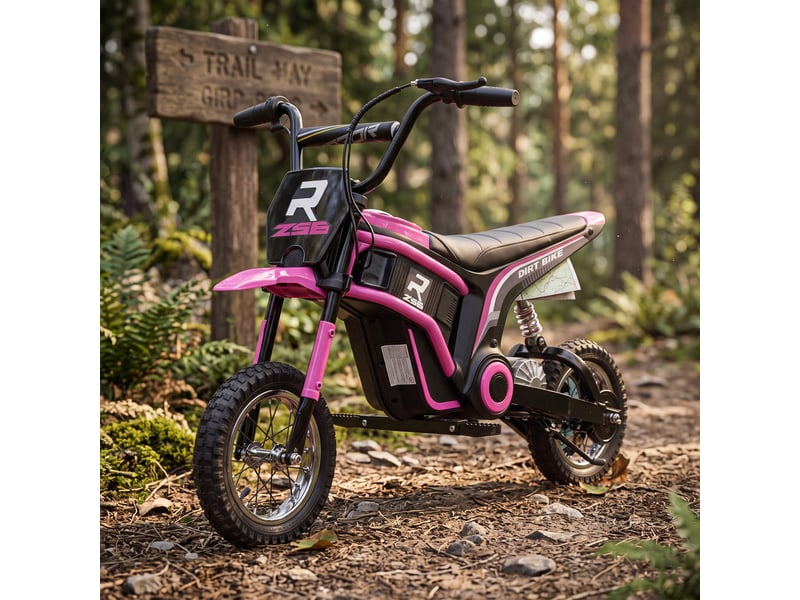  Moto cross électrique dirt bike enfant 350w 12v 2 vitesses 8-16 kmh rose noir  - Conforama D