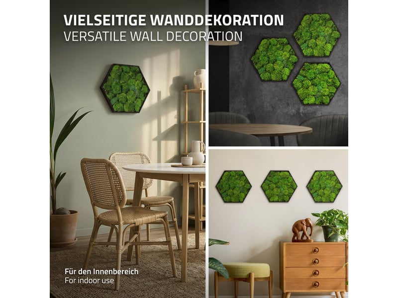  Ecd germany tableau en mousse boule stabilisée véritable, forme hexagonale 38 x 34 cm, vert, décoration murale végétale d'intérieur, cadre en bois, sans arrosage ni entretien, effet 3d, pièce unique ECD Germany GmbH - Conforama E