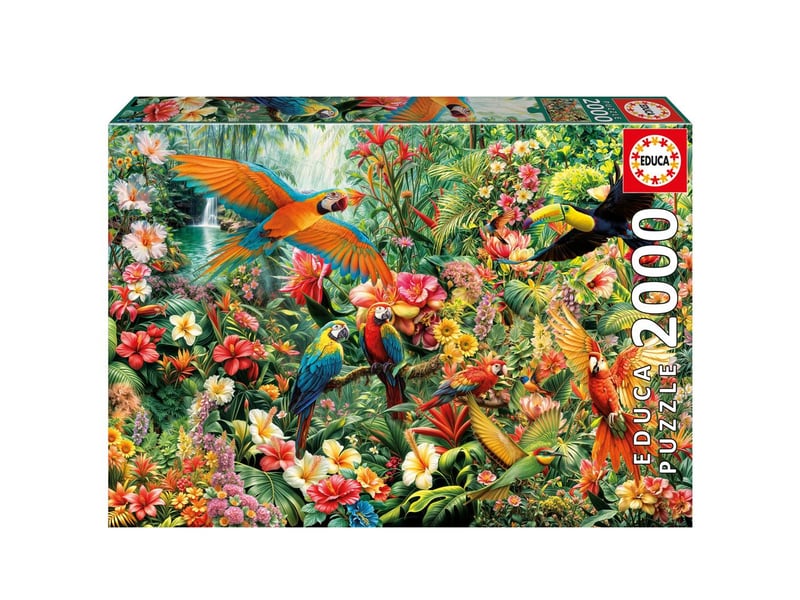  Puzzle 2000 pieces oiseaux d amazonie 96 x 68 cm fabriqué en europe 1-23379677 - Conforama A