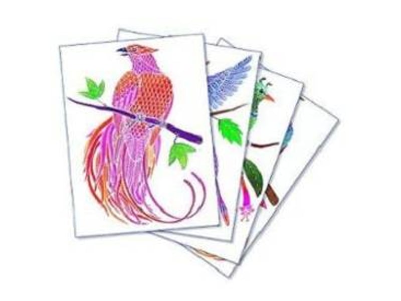  Aquarellum junior oiseaux de paradis 656 - Conforama B