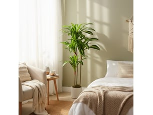 Dracaena artificielle 60x40x120 cm troncs flexibles pot blanc vert