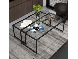 Lot de 2 tables basses 119x56x44,5 cm plateau en verre structure en métal transparent