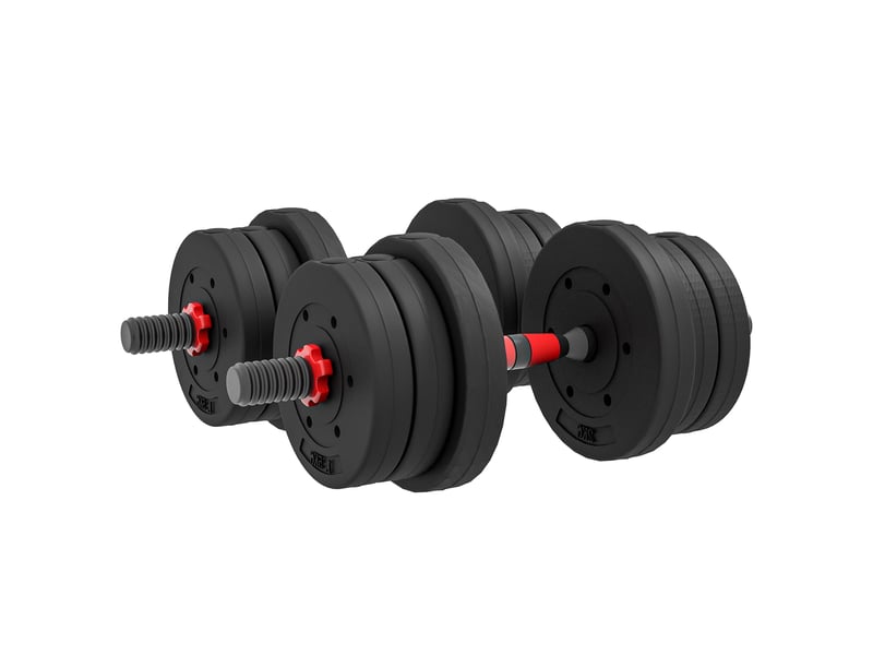  Ensemble d'haltères 2 en 1 : barre courte réglable de 20 kg et haltères professionnelles pour l'entraînement de force (noir).  - Conforama B