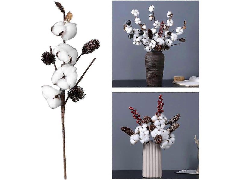  Fleurs artificielles en tiges de coton séché naturel loviver pour bricolage et jardinage-4 head  - Conforama D