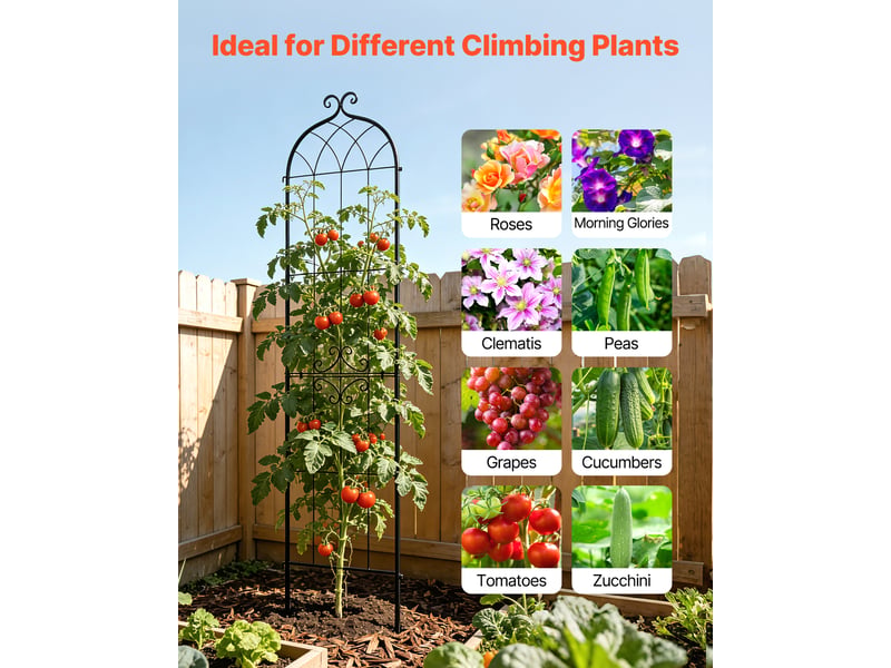  Vevor treillis de jardin support de plante grimpante métal 52,5x220 cm lot de 6  - Conforama E
