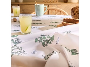 Nappe garrigue 240x140cm vert clair imprimé aromates