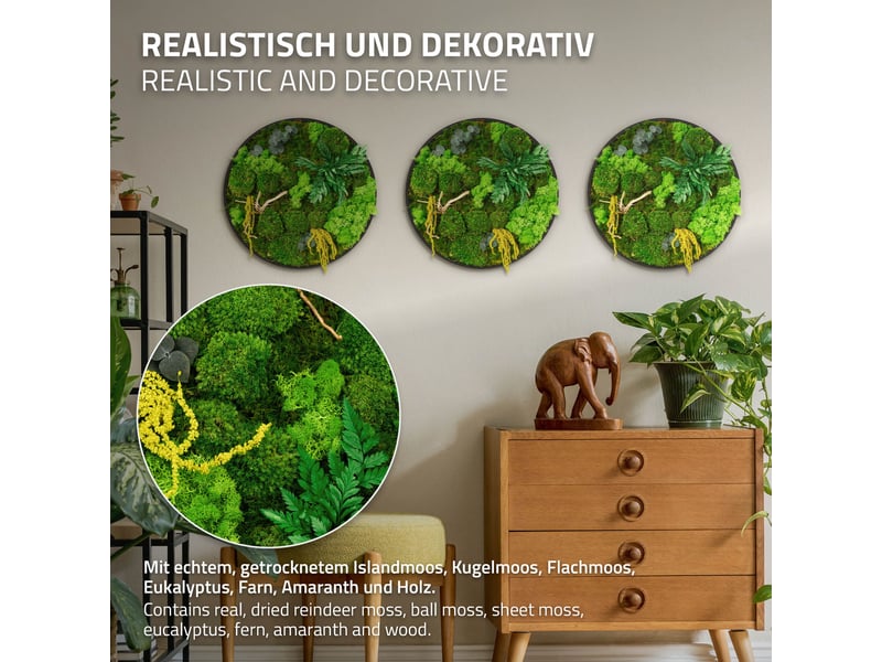  Ecd germany tableau végétal mural stabilisé, ø 40 cm, mélange de mousses avec eucalyptus, fougères et bois naturel, effet 3d, sans entretien, cadre mdf rond, décoration d'intérieur, style jungle ECD Germany GmbH - Conforama C