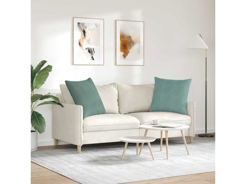  Lot de 2 coussins de canapé, coussins décoratifs vert mer 80 x 80 cm cf59219  - Conforama D