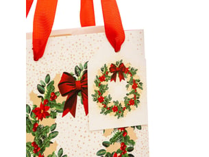 Sac cadeau imprimé taille moyenne dream