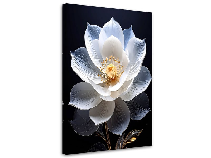  Tableaux, grande fleur blanche délicate sur fond noir 60x90 1312609040 - Conforama A