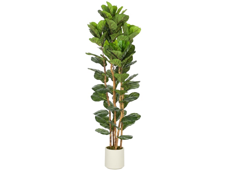  Plante artificielle intérieure 180 cm figuier lyre arbre artificiel avec pot en plastique et tronc en bois massif, vert  - Conforama A
