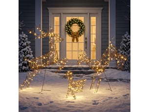 Lot de 3 rennes leds de noël 200 leds blanc chaud 8 modes timer