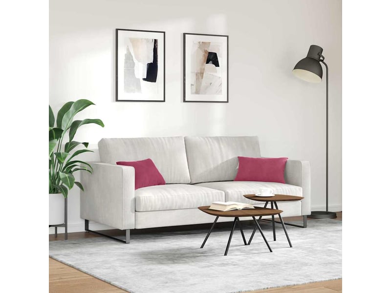  Lot de 2 coussins de canapé, coussins décoratifs rouge bordeaux 50 x 30 cm cf59155  - Conforama D
