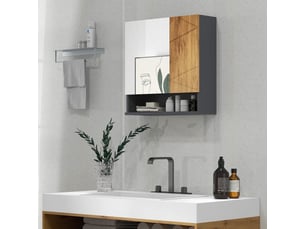 Armoire murale miroir de salle de bain placard de rangement 2 portes 55 x 17 x 55 cm naturel gris foncé