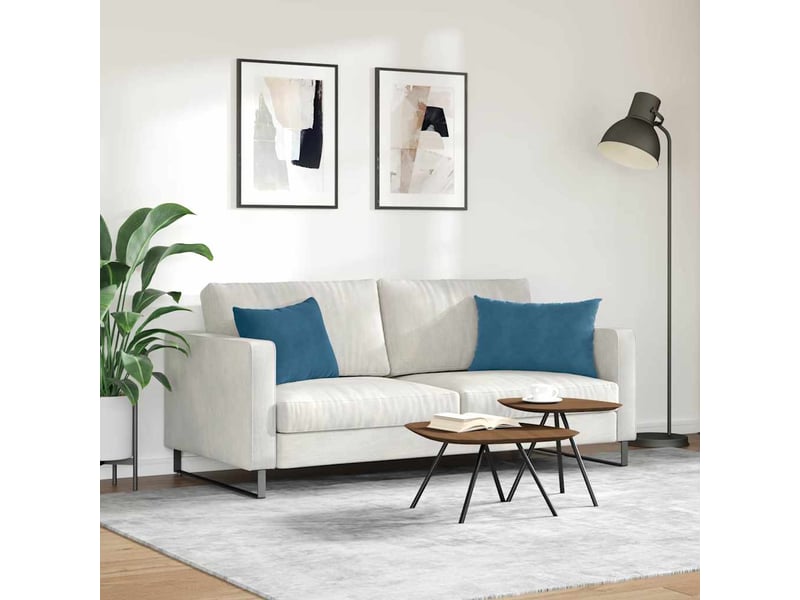 Lot de 2 coussins de canapé, coussins décoratifs bleu 60 x 40 cm cf59005 - Conforama D