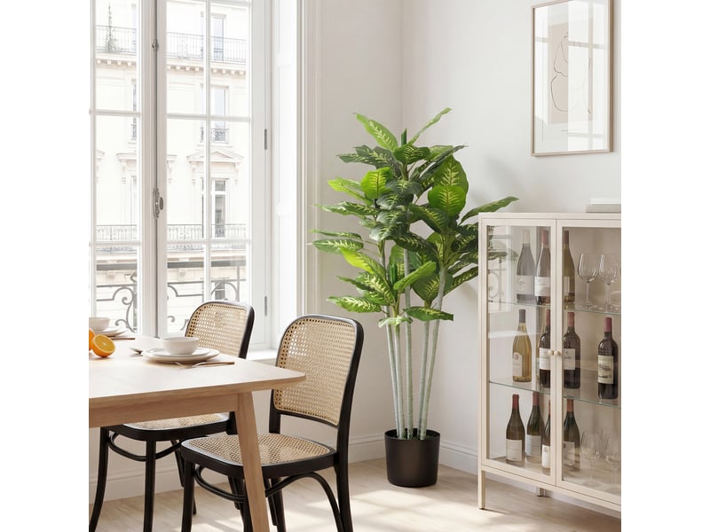  Plante artificielle calathea hauteur 150 cm pot ciment 53 feuilles - intérieur  - Conforama C