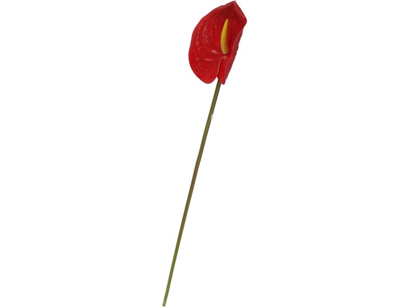  Simulation 3d d'un aménagement de salon avec des fleurs d'anthurium et un bouquet de fleurs flamant rose  - Conforama B