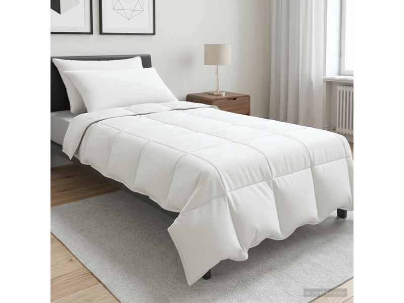  Ensemble de duvet - couette blanc 140 x 220 cm polyester, bambou  - Conforama B