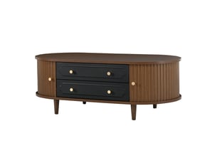 Table basse coloris marron evarich
