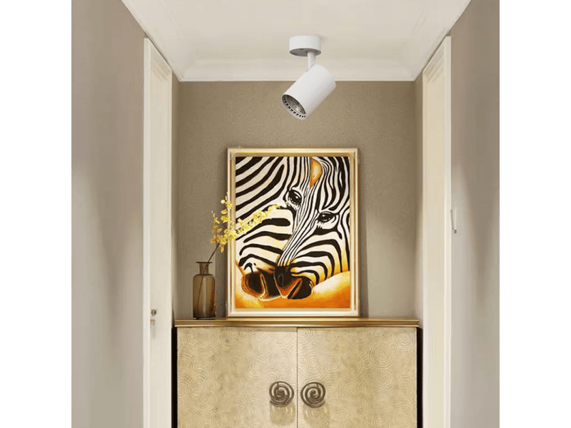  Éclairage de couloir, de balcon, spots d'accentuation réglables, éclairage de cuisine, d'îlot, de musée, éclairage de plafond en saillie, 3000k, blanc  - Conforama C