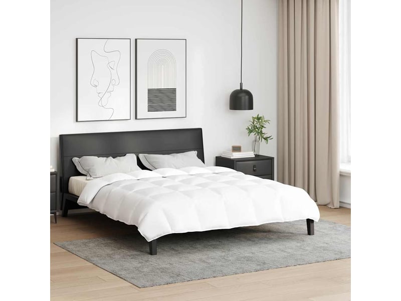 Couette - duvet 240 x 200 cm printemps, automne plume blanc respirant - Conforama B
