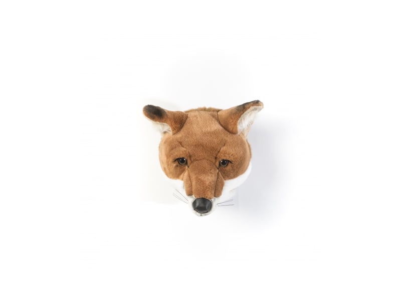 Trophée peluche louis le renard  - Conforama A