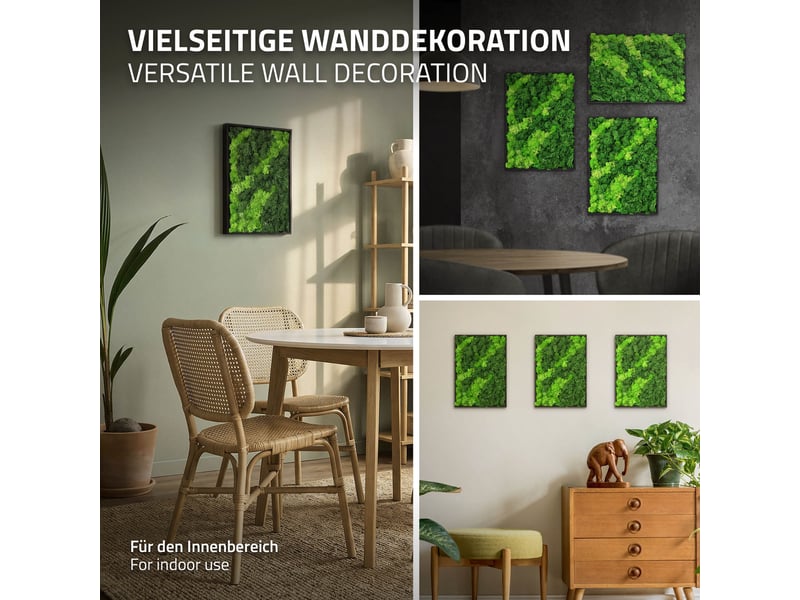  Ecd germany tableau en mousse de renne stabilisée véritable, rectangulaire, 38x27 cm, vert, décoration murale végétale d'intérieur, cadre en bois, sans arrosage ni entretien, effet 3d, pièce unique ECD Germany GmbH - Conforama E