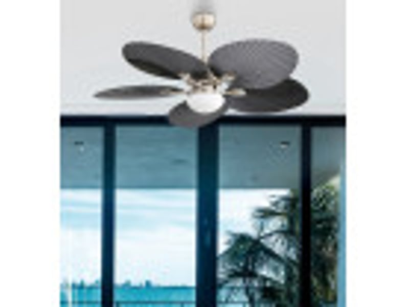 Ventilateur de plafond fabrilamp chaw dc nickelnoir 5 pales 132 cm 6 vitesses led 24 w télécommande 173291534 - Conforama B