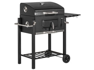 Barbecue à charbon <strong></strong> 