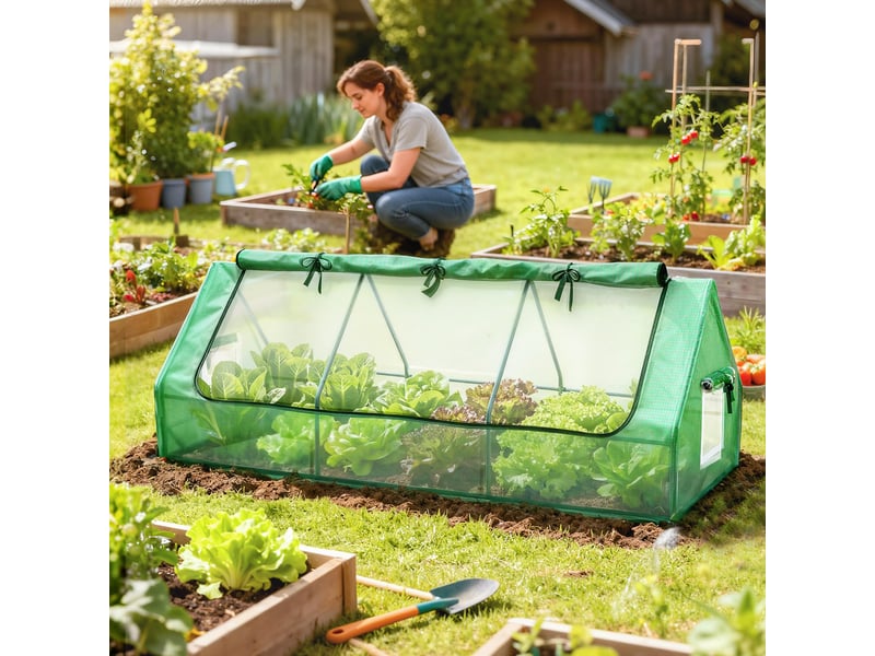  Serre de terrasse mini serre 240x90x90 cm avec fenêtres en filet pour la culture de légumes et de fleurs vertes  - Conforama C