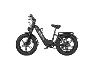 Vélo électrique double moteur nathaniel syr08, fat bike 20, noir