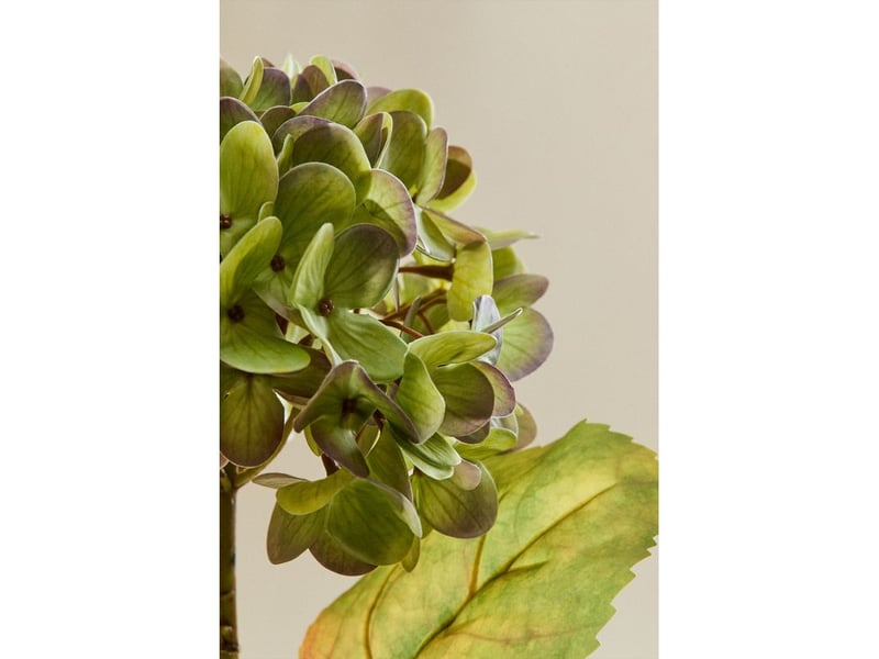  Pack de 2 fleurs décoratives aurivel sklum vert  - Conforama E