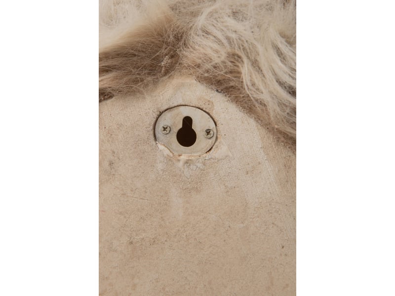  Trophée mural tête de renne ketty 48cm beige  - Conforama D