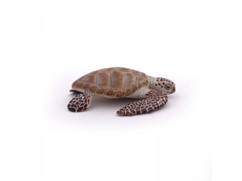  56005 tortue caouanne figurine 56005 - Conforama E