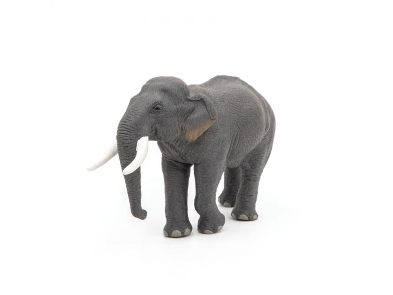  50131 elephant d asie figurine 50131 - Conforama A