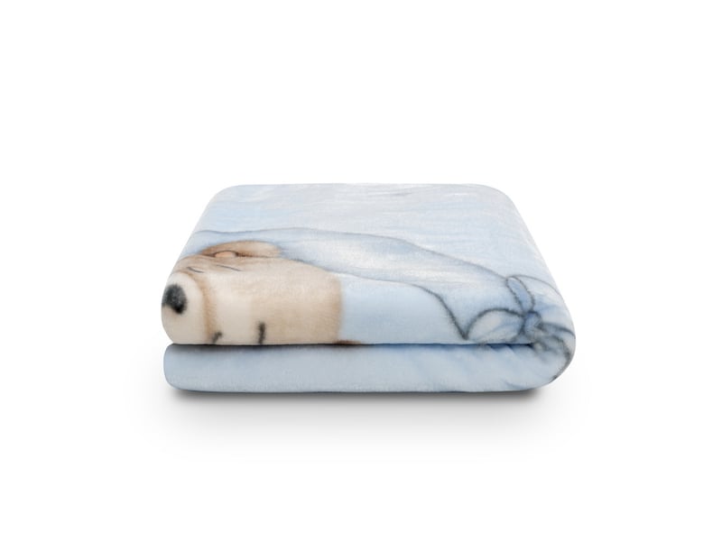  Couverture bébé interbaby 110 x 140 cm maille raschel - bleu, motif ourson, lune et étoiles 00996-01 - Conforama D