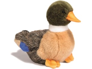 Colvert peluche de canard 19cm