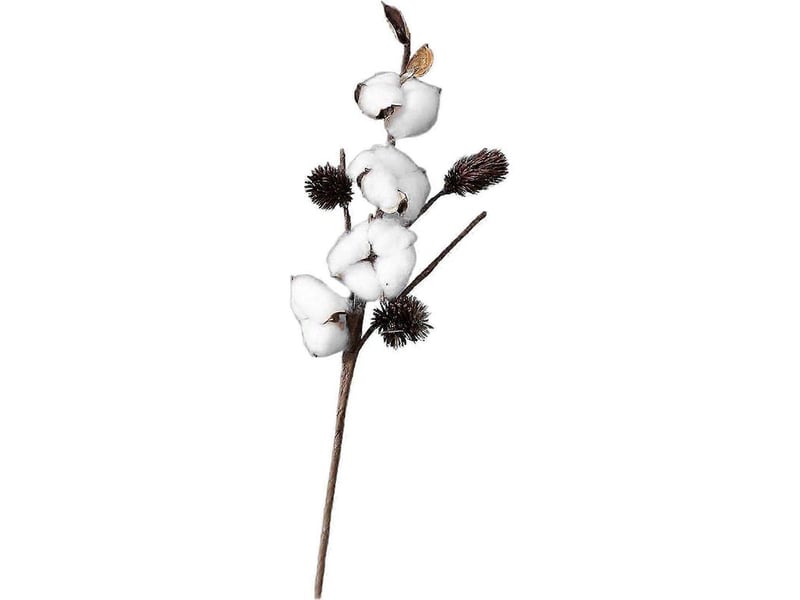  Fleurs artificielles en tiges de coton séché naturel loviver pour bricolage et jardinage-4 head  - Conforama E