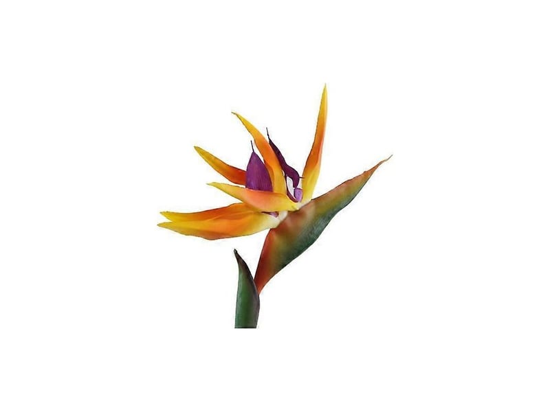  Décoration de mariage strelitzia reginae oiseau de paradis plante artificielle fleur artificielleorange  - Conforama A