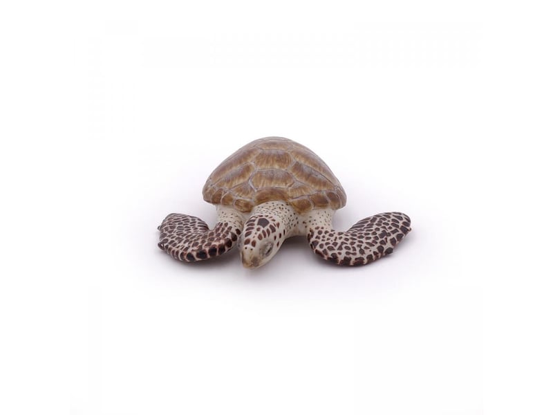  56005 tortue caouanne figurine 56005 - Conforama B