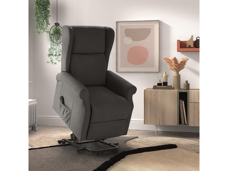  Fauteuil releveur relax électrique tissu waterproof gris foncé - alcanti ALCANTI - Conforama E